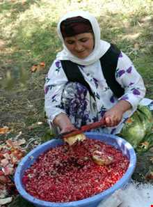 جشن‏ برداشت انار