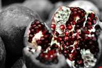 Pomegranate Harvest Festival