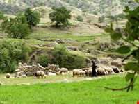 آبشار آرپناه