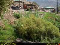 آبشار آرپناه