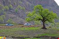 آبشار آرپناه