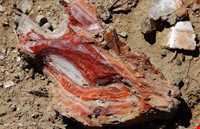 آلاداغ لار ( کوه رنگی )