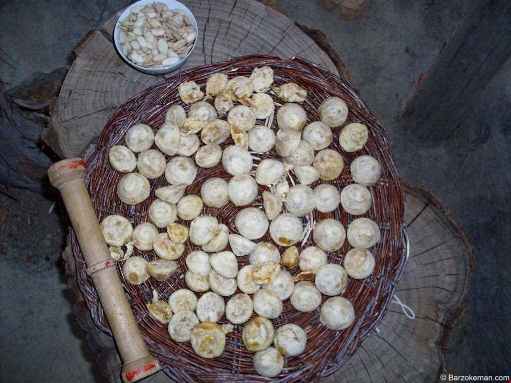 جوزقند ( جوزغند )