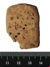 قدیمی‌ترین نمونه خط