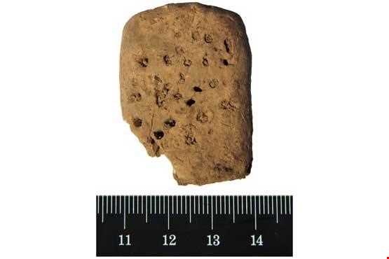 قدیمی‌ترین نمونه خط