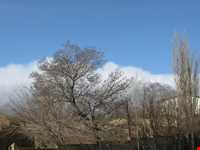 tomb of Sheykh Abolhasan Kharghani
