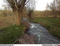 جشن حکومت زنان (جشن محصول)