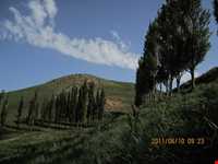 منطقه گردشگری زرشک و کامان