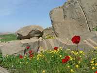 کوه‌های چگا