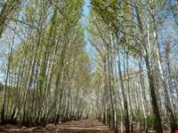 Jajrood  protected area