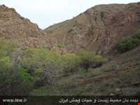 Jajrood  protected area