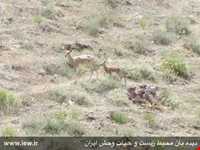 Jajrood  protected area