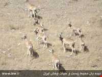 Jajrood  protected area