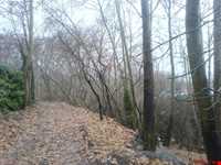 مجموعه فرهنگی تاریخی سعدآباد