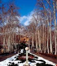 مجموعه فرهنگی تاریخی سعدآباد