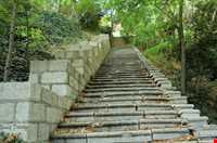 مجموعه فرهنگی تاریخی سعدآباد