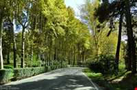 مجموعه فرهنگی تاریخی سعدآباد