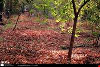 مجموعه فرهنگی تاریخی سعدآباد