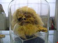 National Museum of Iran