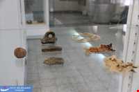 National Museum of Iran