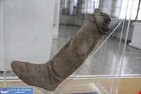 National Museum of Iran