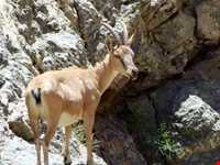 Tange Sayad natural park