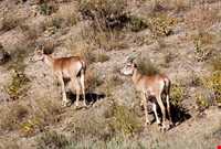 Tange Sayad natural park