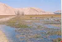 Tange Sayad natural park