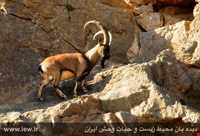 Tange Sayad natural park