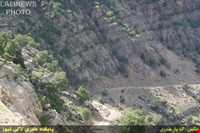 Immigration of Bakhtiari nomadic people