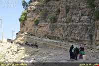 Immigration of Bakhtiari nomadic people