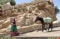 Immigration of Bakhtiari nomadic people