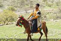 Immigration of Bakhtiari nomadic people