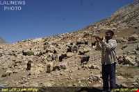 Immigration of Bakhtiari nomadic people