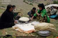 Immigration of Bakhtiari nomadic people