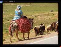 ایل قشقایی فارس