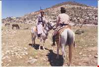 ایل قشقایی فارس