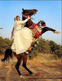 ایل قشقایی فارس