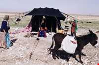 ایل قشقایی فارس