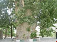 روستای باجگان