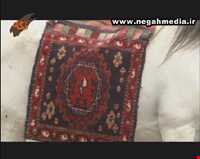 Gelim ( Kilim )