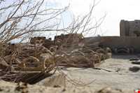 The old city of yazd