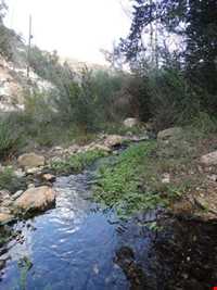 روستای استوه