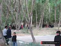 روستای استوه