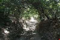 روستای استوه