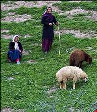 عشایر کرد خراسان شمالی