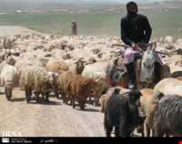 The tribes of Northern Khorasan