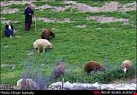 The tribes of Northern Khorasan