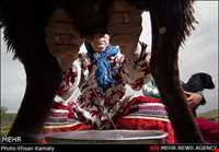 The tribes of Northern Khorasan