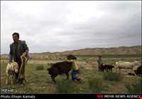 The tribes of Northern Khorasan